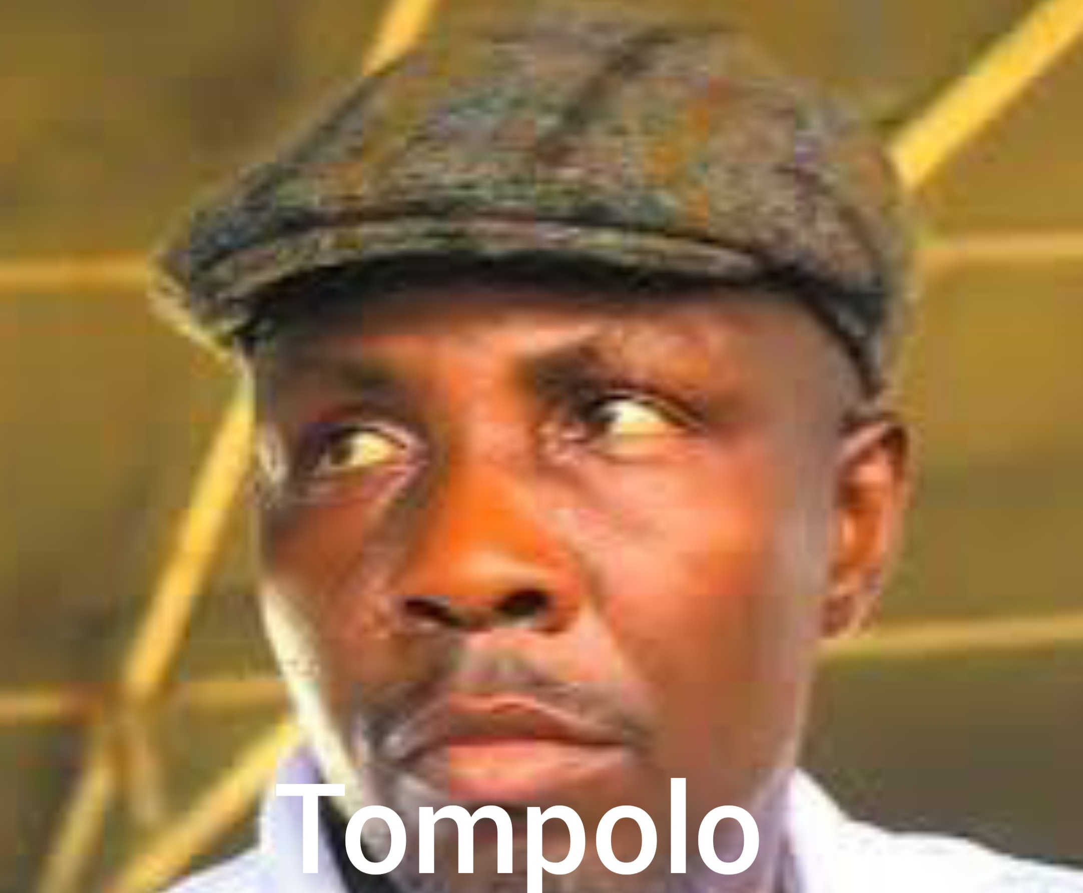 N’Delta Region: CSOs Accuse Tompolo of Human Rights Violations