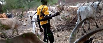 Suspected Herdsmen Kill 2 Farmers in Edo Community