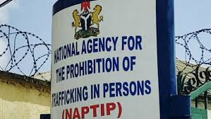 NAPTIP Rescues Over 20,000 Victims in 22 Years