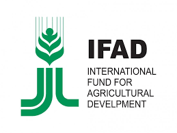 IFAD-SAPZ Empowers Over 1,000 Farmers in Kano